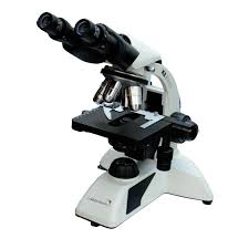 research binocular microscope